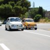 Montevago 2010 (467)